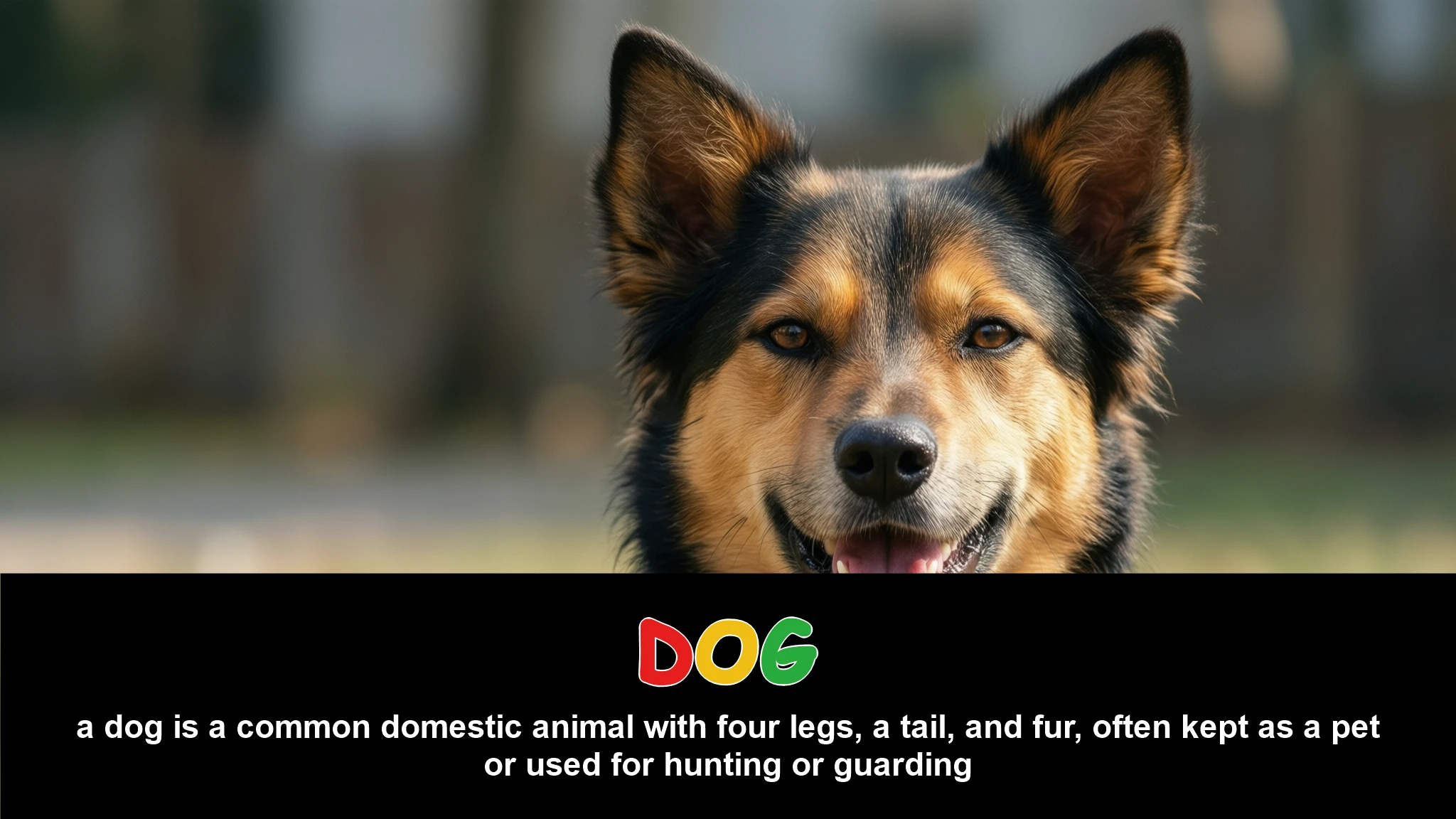 English Illustration for dog